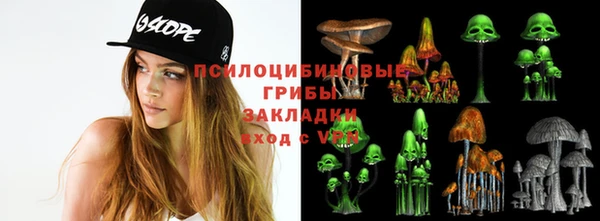синтетический гашиш Алексеевка
