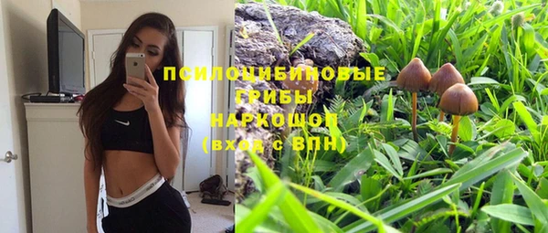 синтетический гашиш Алексеевка