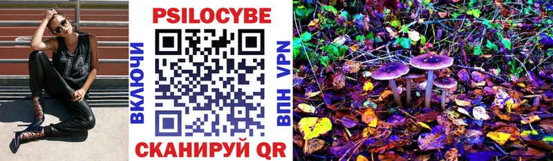 где продают наркотики  Чердынь  Псилоцибиновые грибы Cubensis 